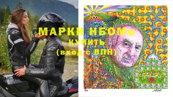 прущие грибы Саяногорск