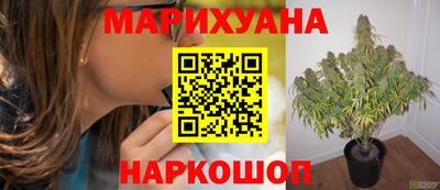 дурь Сланцы