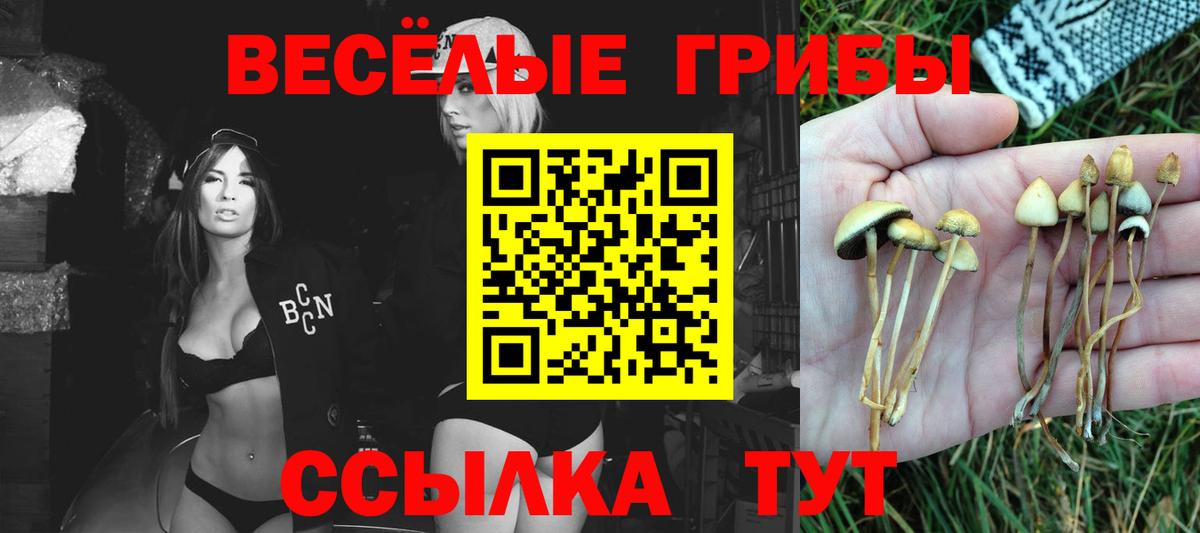 Псилоцибиновые грибы мицелий Саки
